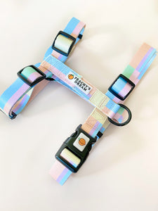 Paddle Pup Strap Harness