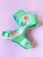 Load image into Gallery viewer, Minty Swirl Adjustable Harness
